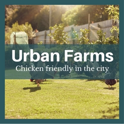 urban farms raleigh cary nc