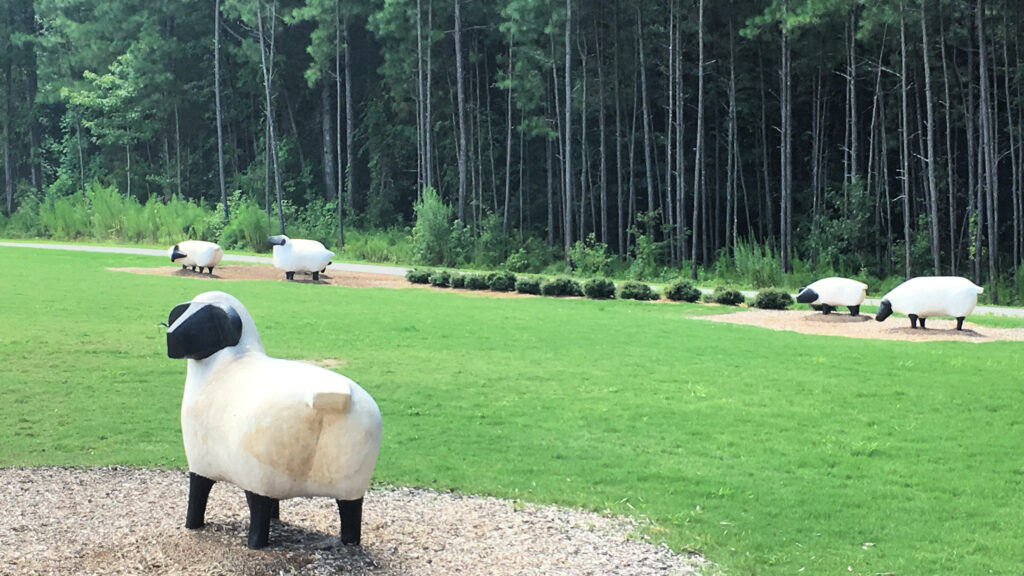 Jack Smith Park has a climbing wall, whimsical accents, and a splash pad