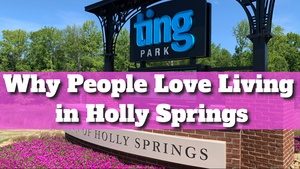 holly springs ting park
