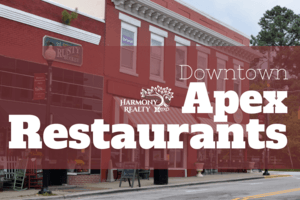 downtown apex restaurants street view
