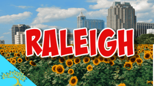 raleigh nc skyline with sunflowers below