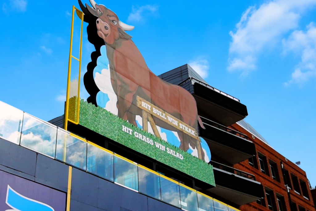 Durham Bulls Athletic Park.  If you live in Durham you will likely spend some time here.