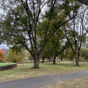 Walking paths are paved at Joyner Park in Wake Forest, NC.