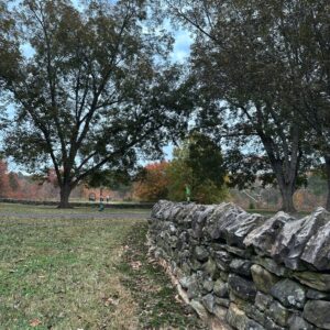 Beautiful stone walls accent the scenery at Joyner Park in Wake Forest, NC.