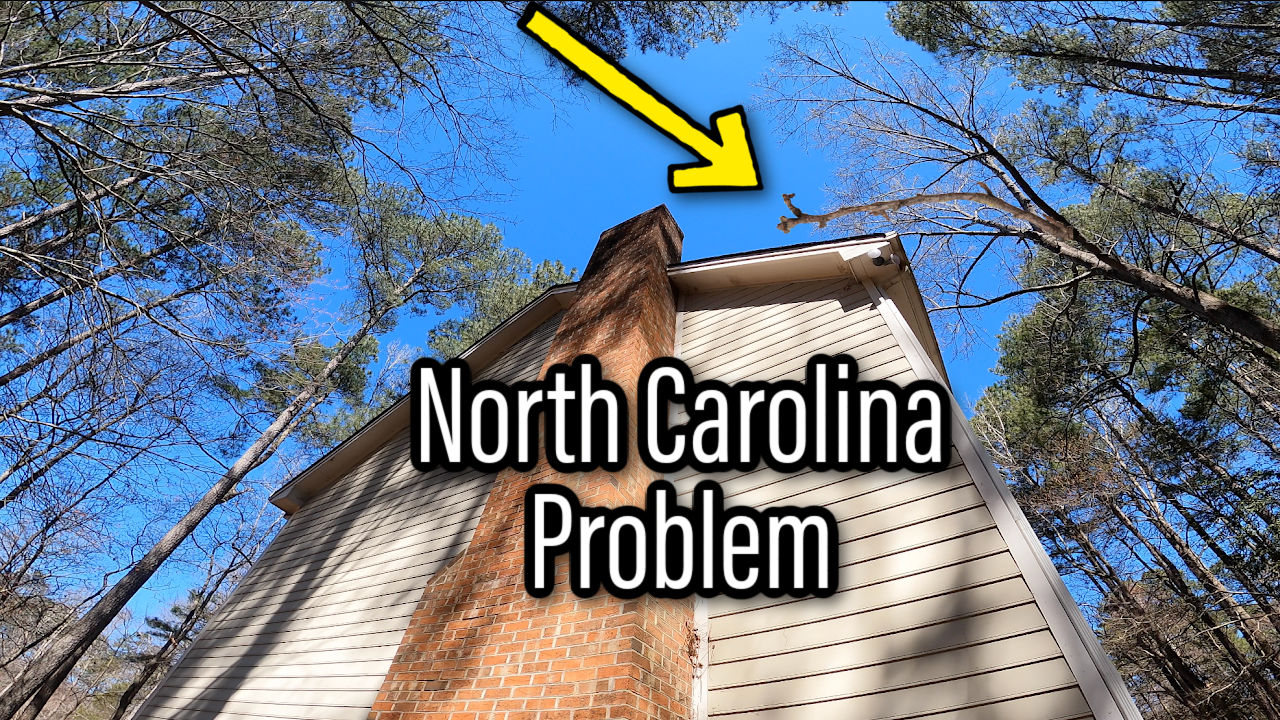 What you need to know before moving to North Carolina