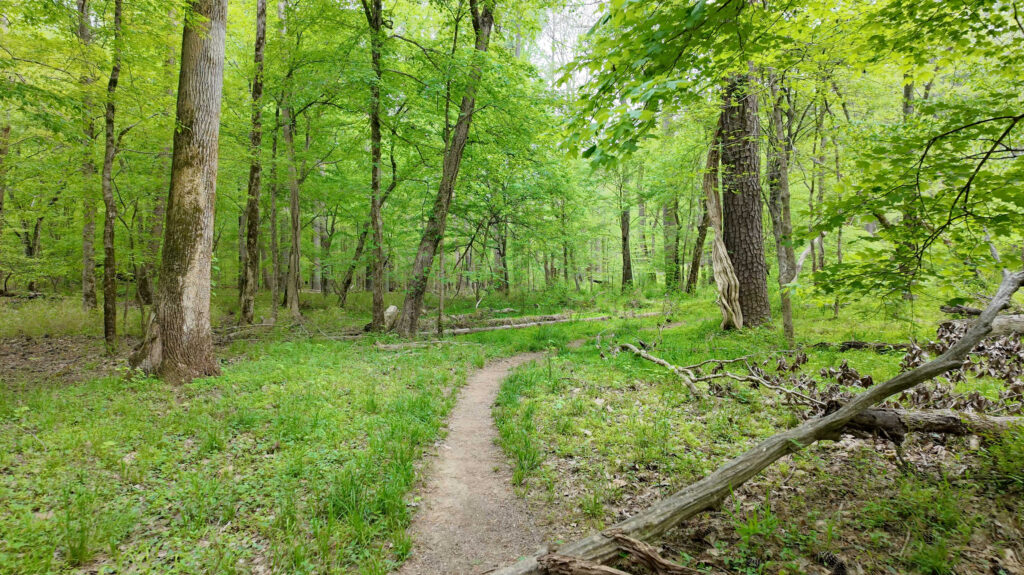 Umstead Park at Crabtree Creek in West Raleigh.